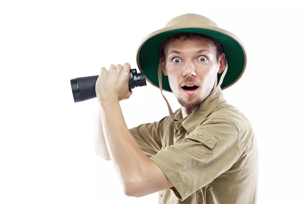 They’ll  Even Train You For Free For This Fun Gig!